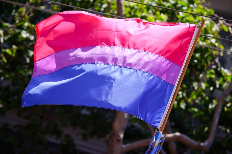 The_bisexual_pride_flag_(3673713584).jpg